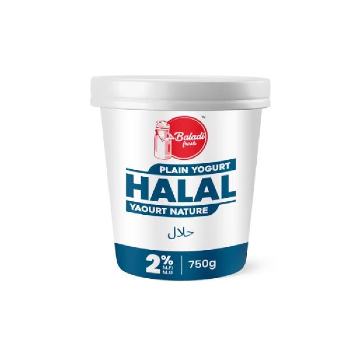 Baladi Fresh Yogurt Plain 2%