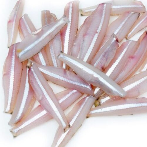 Anchovies (Headless)