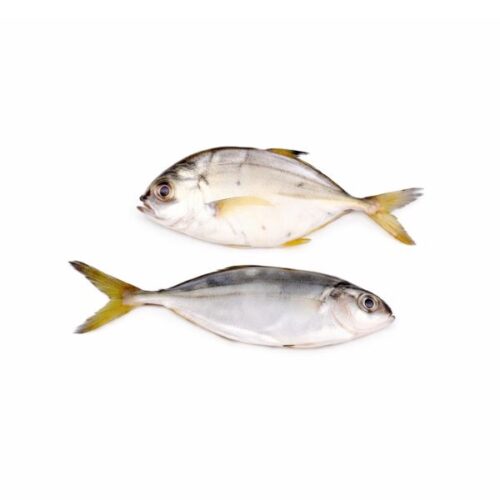 Trevally